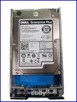 Dell Equallogic PS6210XV 24-Port SAN with 24 x 300GB 15K RPM SAS 6Gbps HDDs